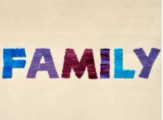 Mollalla Baby Lock Meridian 2 vs Brother features