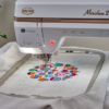 Bernina vs Baby Lock Meridian 2 in Seattle