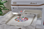 Bernina vs Baby Lock Meridian 2 in Seattle