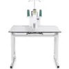 Baby Lock Regent 18” machine for modern quilting techniques